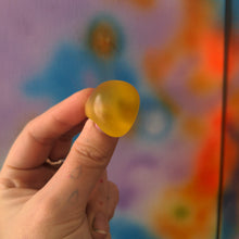 Load image into Gallery viewer, Protrusions