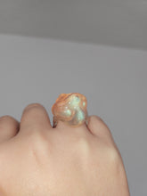 Load image into Gallery viewer, Zygotes