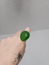 Load image into Gallery viewer, Protrusions