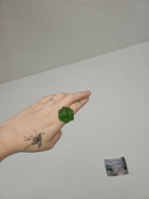 Load image into Gallery viewer, Bubos