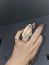 Load image into Gallery viewer, Ovums