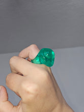 Load image into Gallery viewer, Zygotes