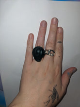 Load image into Gallery viewer, Zygotes