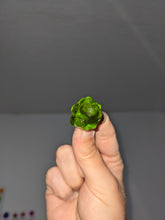 Load image into Gallery viewer, Bubos